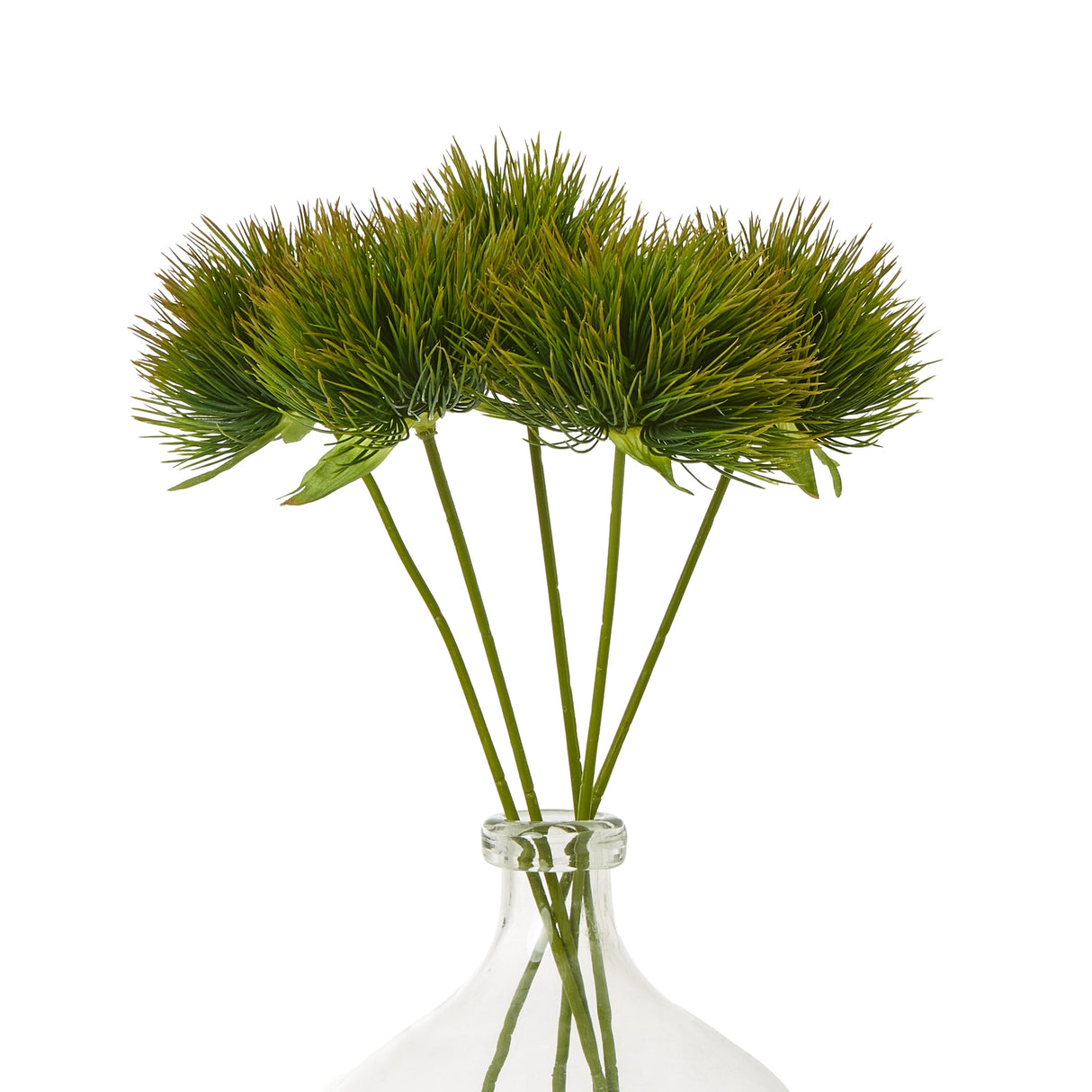 green moss stem