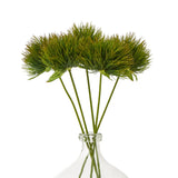 green moss stem