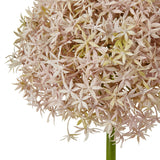 lilac giant allium stem