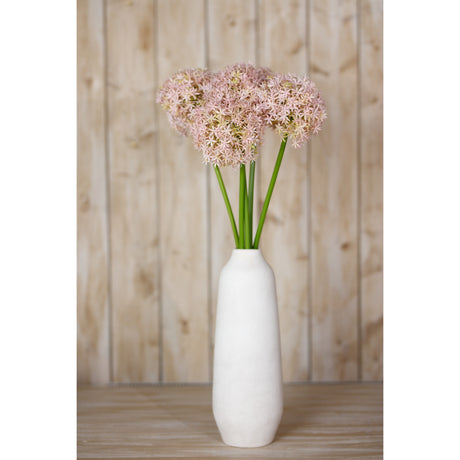 lilac giant allium stem
