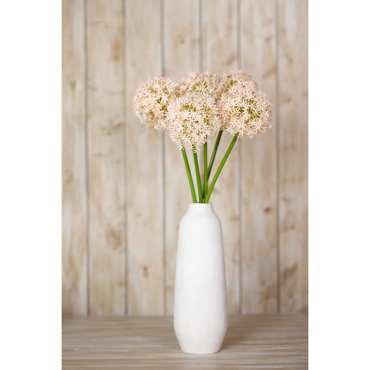pink giant allium stem