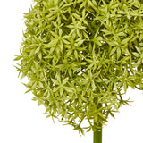green giant allium stem