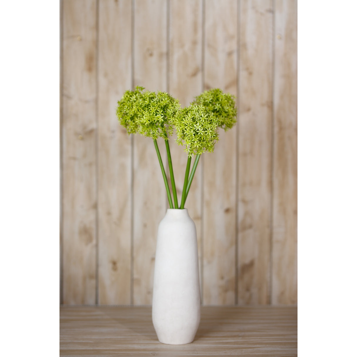 green giant allium stem