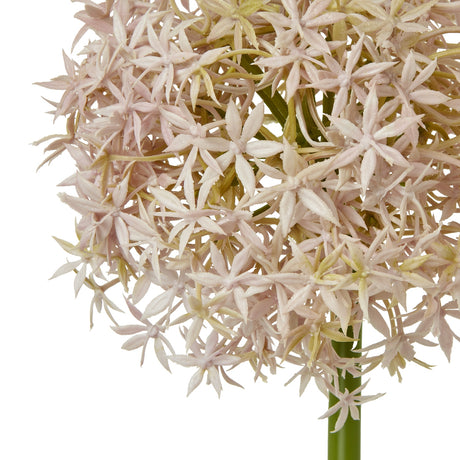 lilac medium allium stem