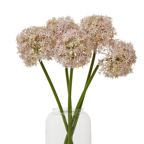 lilac medium allium stem