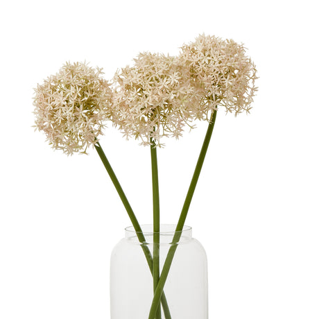 pink medium allium stem