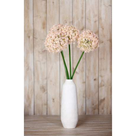pink medium allium stem