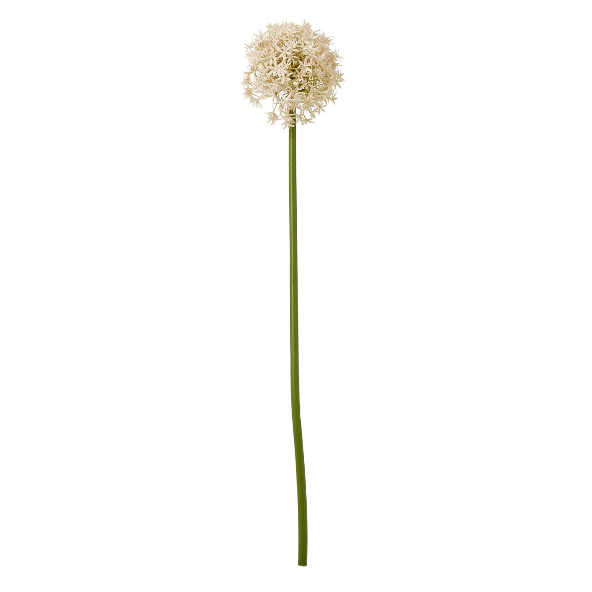 Liliane Pink Medium Allium Stem