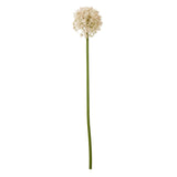 Liliane Pink Medium Allium Stem