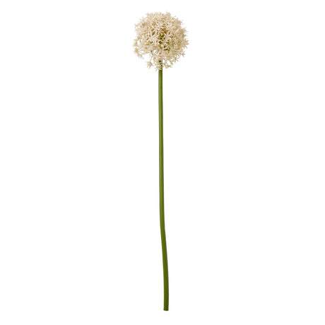 pink medium allium stem