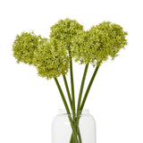 green medium allium stem