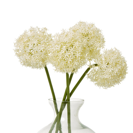 cream medium allium stem