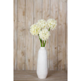 cream medium allium stem