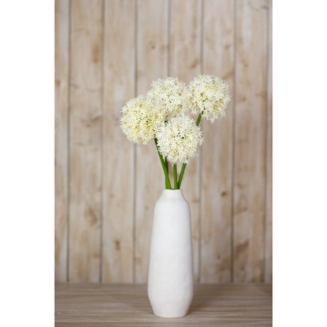 cream medium allium stem