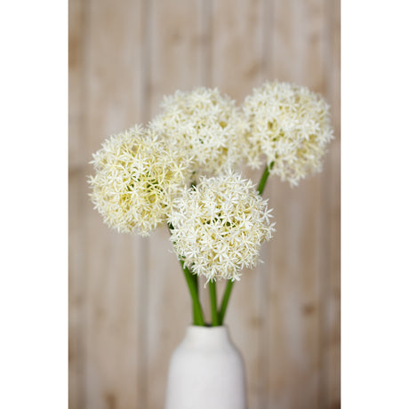 cream medium allium stem