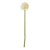 Tess Medium Allium Stem
