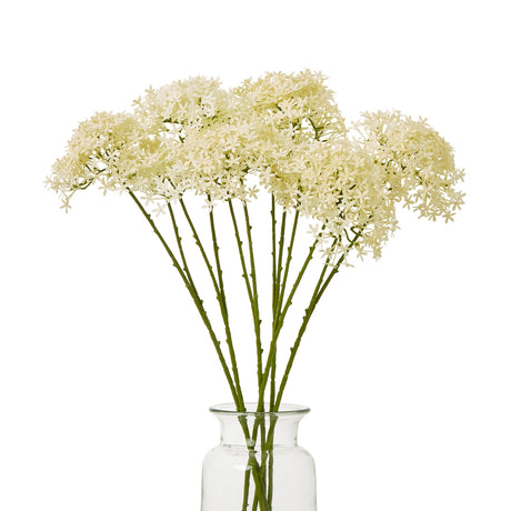 cream crown hydrangea stem