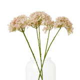 pink crown hydrangea stem