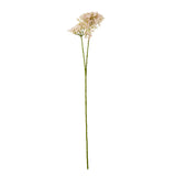 pink crown hydrangea stem