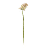 Liliane Pink Crown Hydrangea Stem
