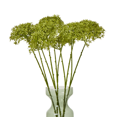 green crown hydrangea stem