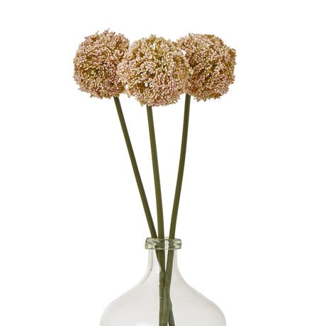 pink allium stem
