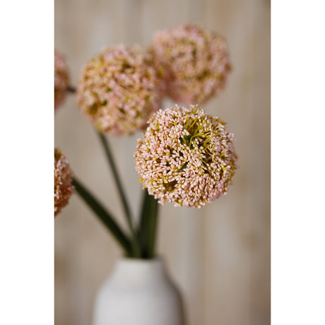 pink allium stem