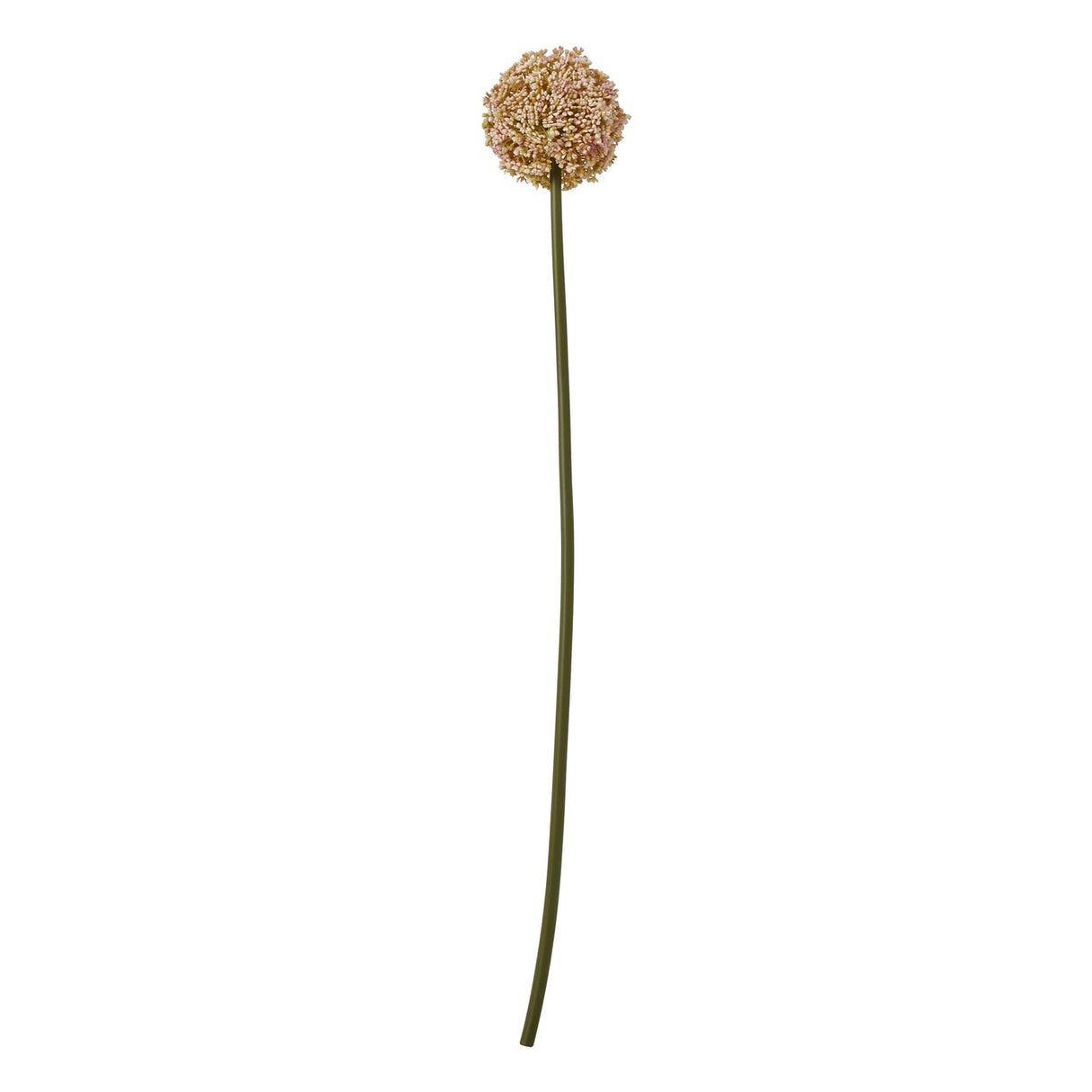 Liliane Pink Allium Stem