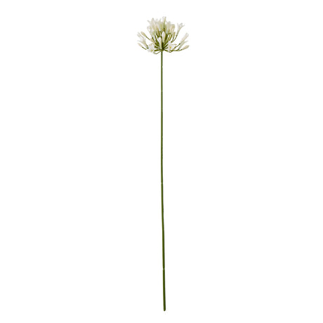 cream agapanthus spray