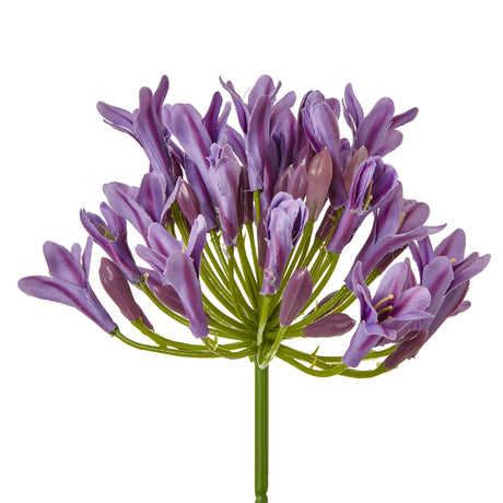 lilac agapanthus spray