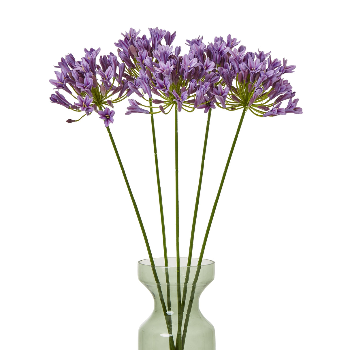 lilac agapanthus spray