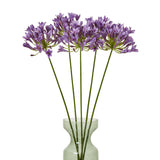 lilac agapanthus spray