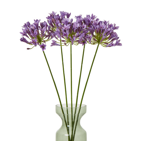 lilac agapanthus spray