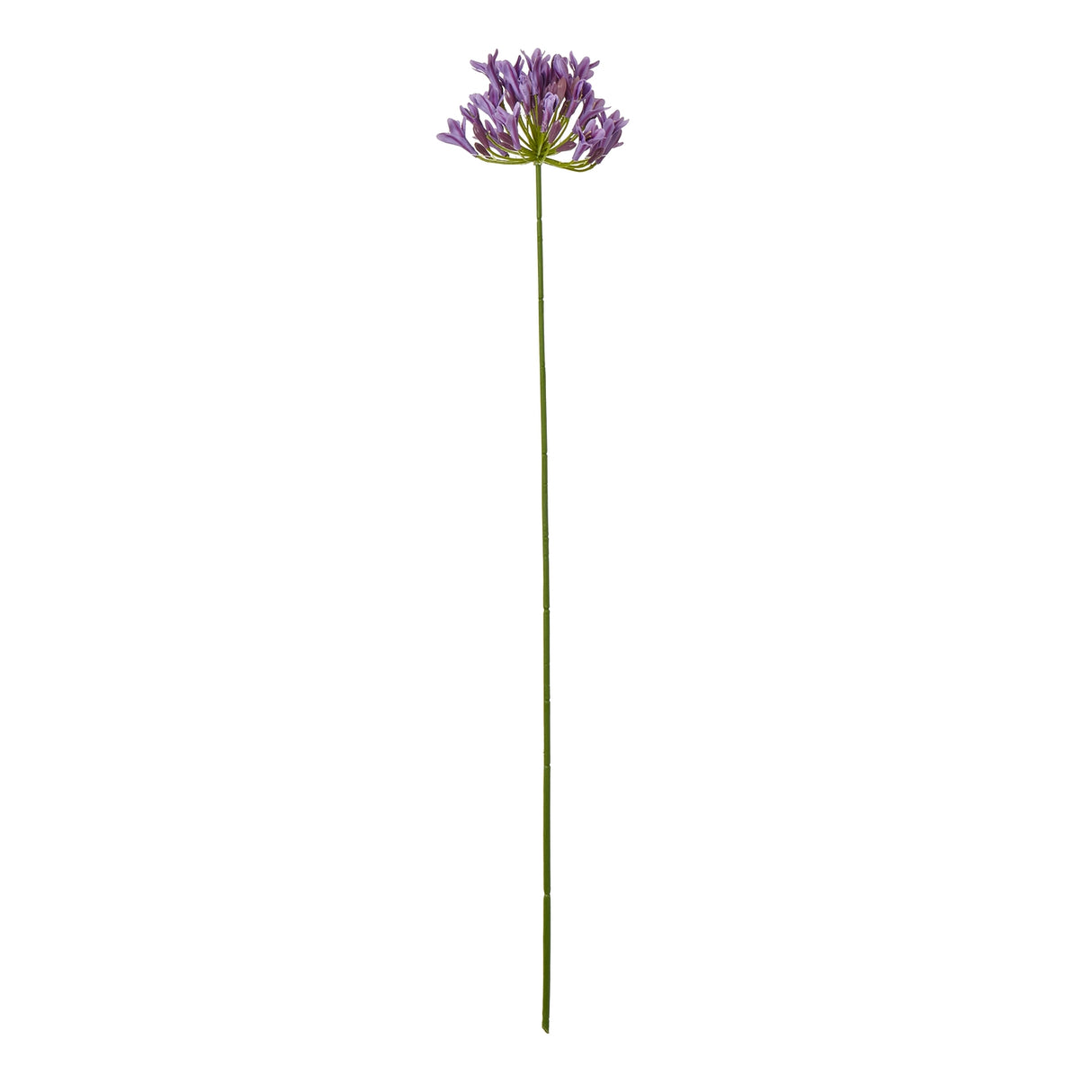 lilac agapanthus spray
