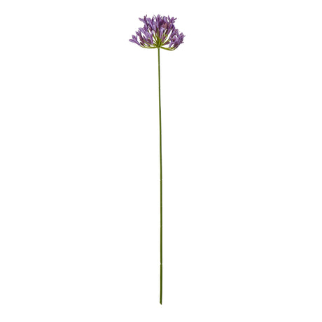 lilac agapanthus spray