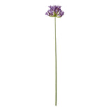 Agnes Lilac Agapanthus Spray