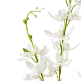 white cymbidium spray