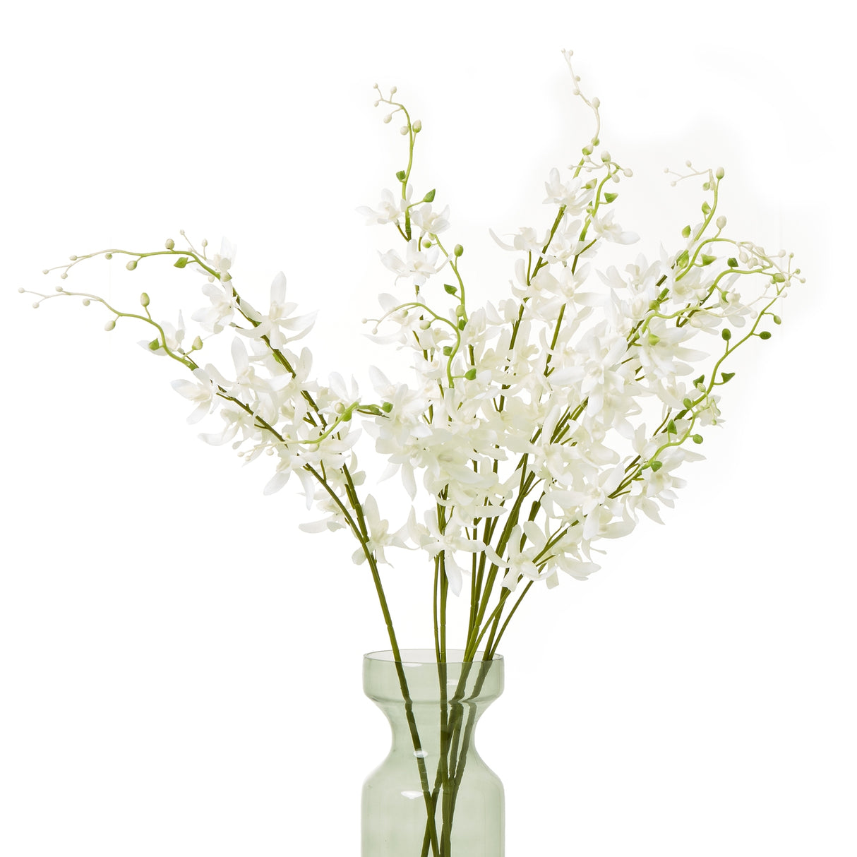white cymbidium spray