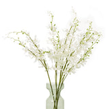 white cymbidium spray