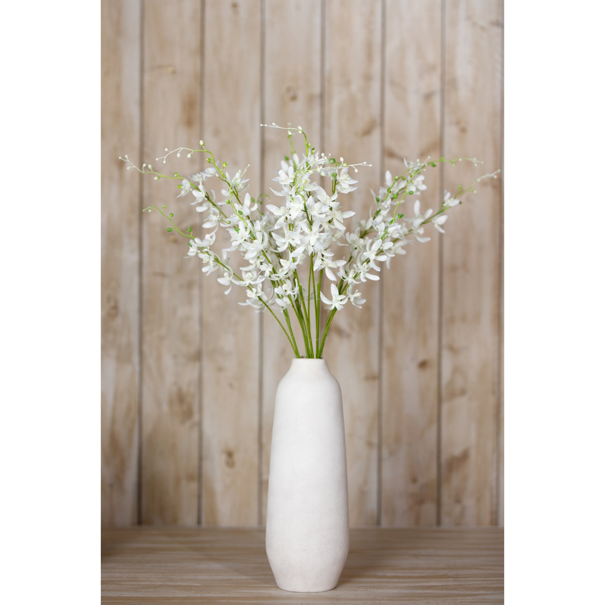 white cymbidium spray