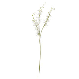 Yvonne Cymbidium Spray (White)
