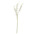 white cymbidium spray