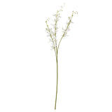 white cymbidium spray