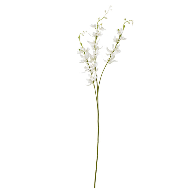 white cymbidium spray
