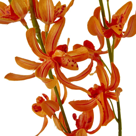 orange cymbidium spray