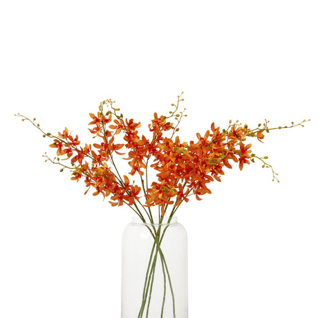 orange cymbidium spray