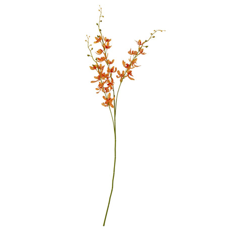 orange cymbidium spray