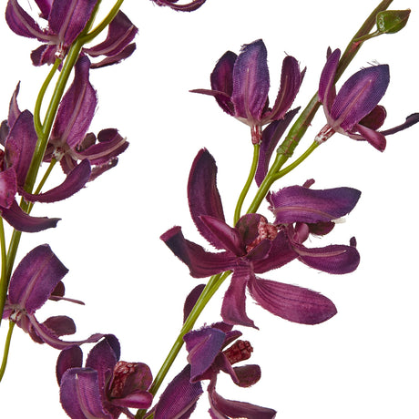 purple cymbidium spray