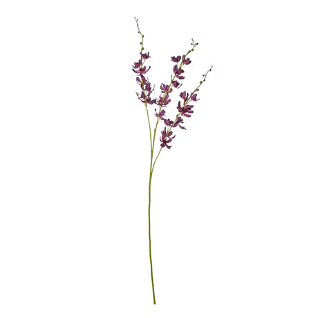 purple cymbidium spray