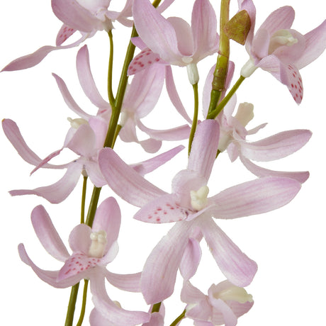 lilac cymbidium spray